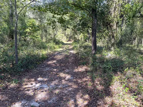 34095 Hyatt Road Dade City FL 33523