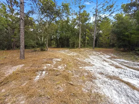 34095 Hyatt Road Dade City FL 33523