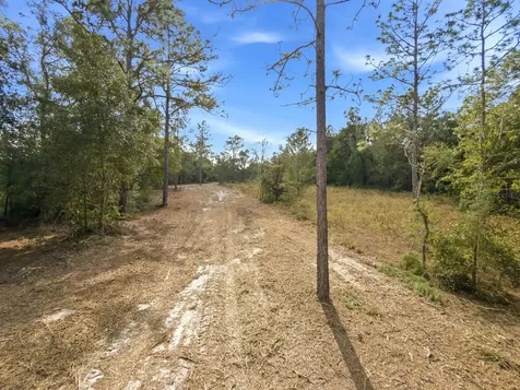 34095 Hyatt Road Dade City FL 33523