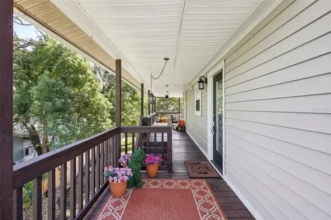 3140 N Canal Drive Palm Harbor FL 34684