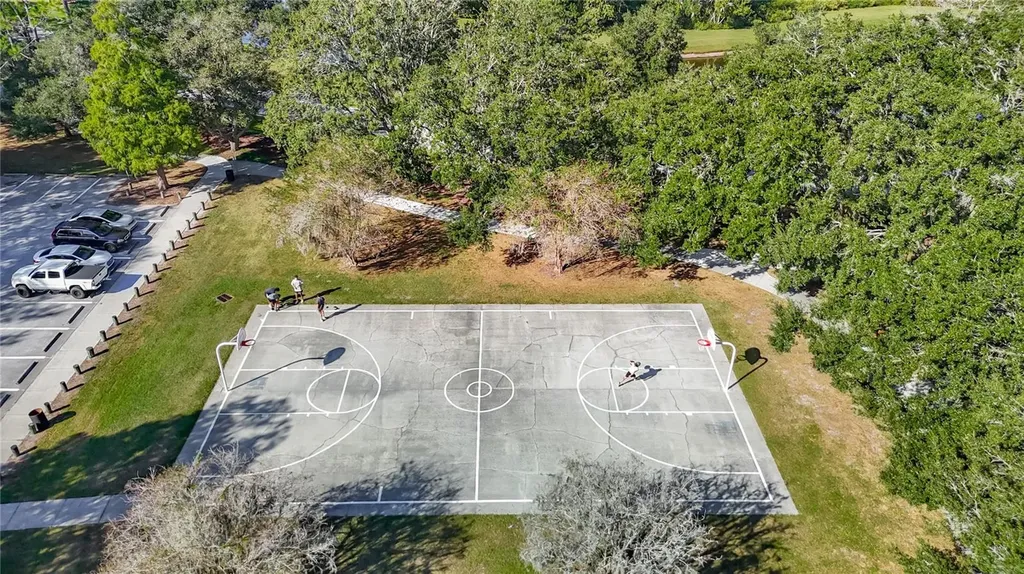 4805 Tea Rose Court Lutz FL 33558