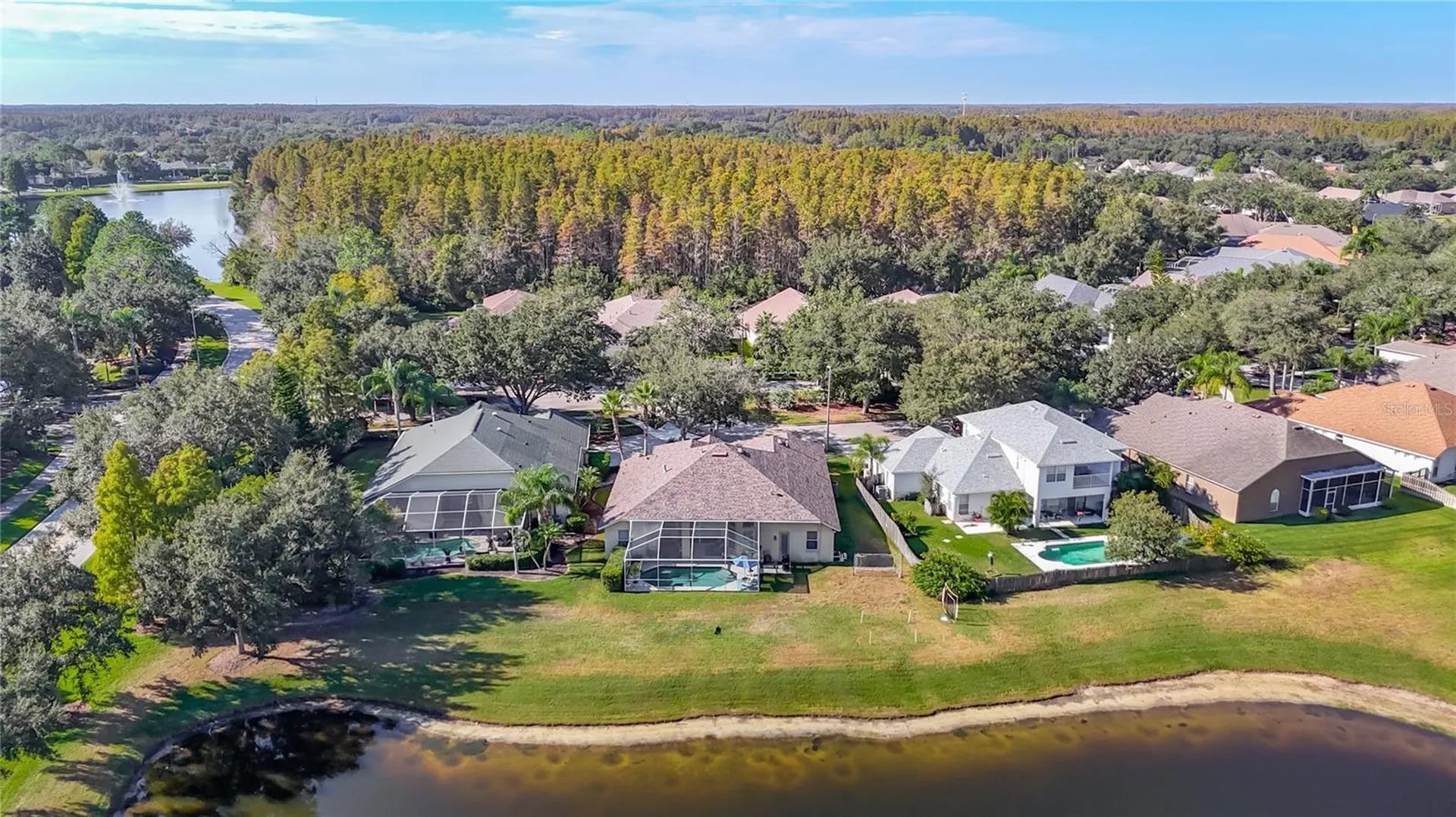 4805 Tea Rose Court Lutz FL 33558