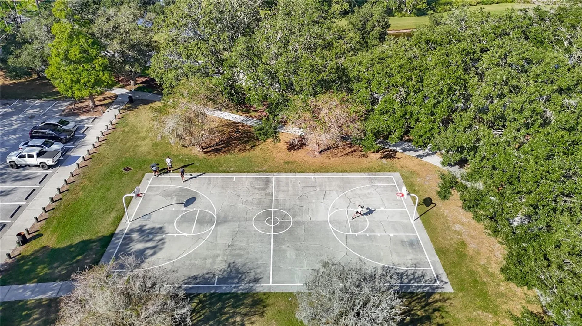 4805 Tea Rose Court Lutz FL 33558