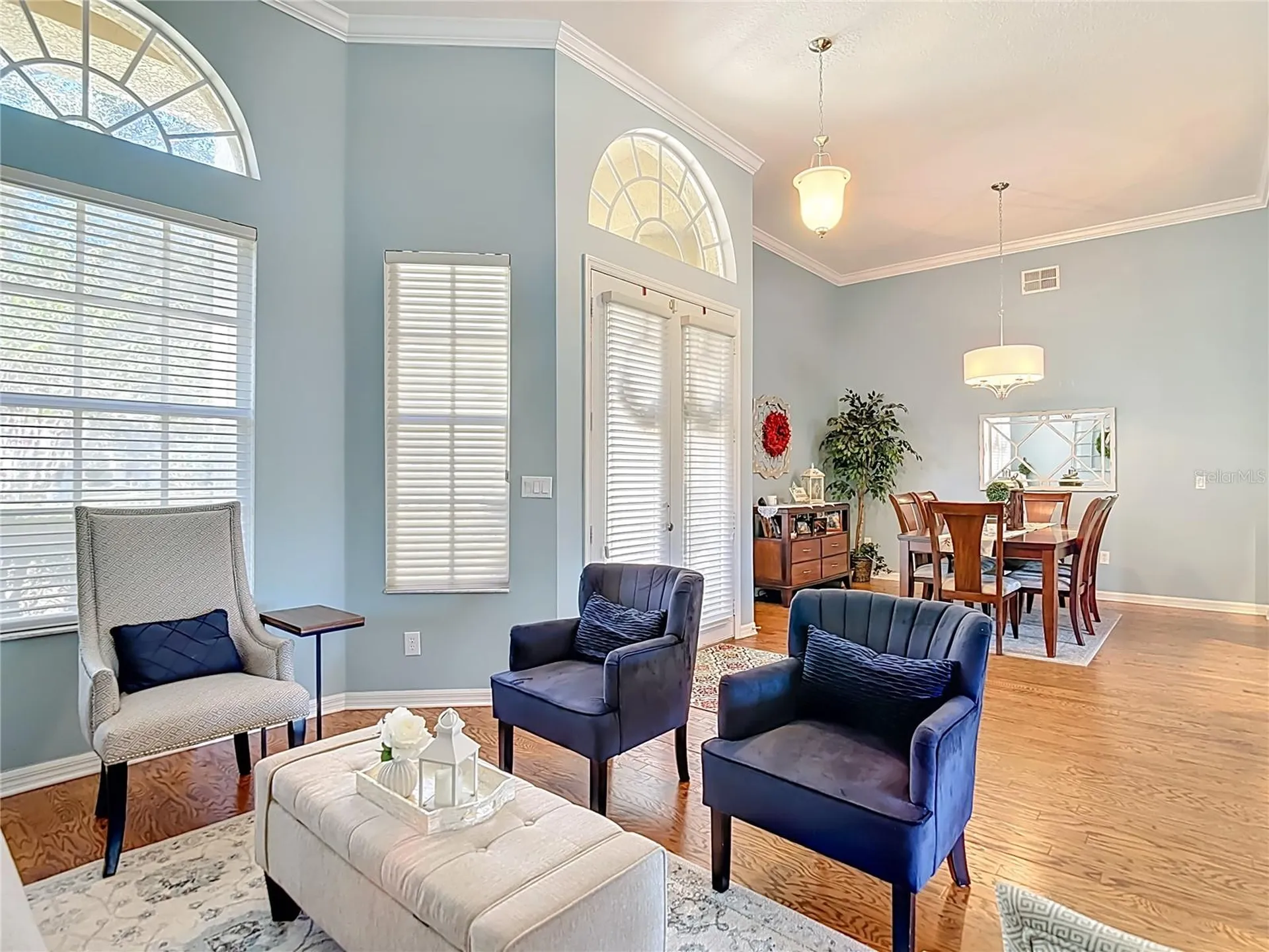 4805 Tea Rose Court Lutz FL 33558