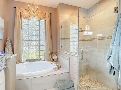 4805 Tea Rose Court Lutz FL 33558