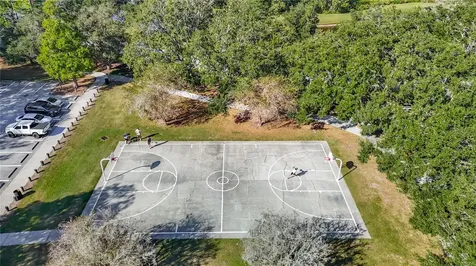 4805 Tea Rose Court Lutz FL 33558