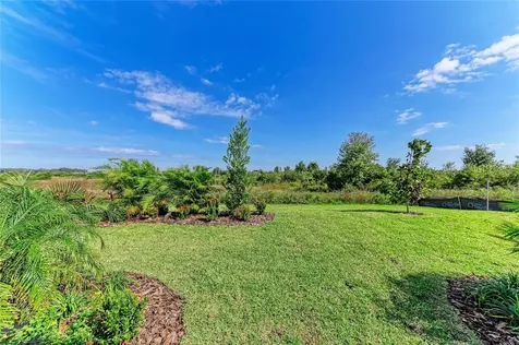9723 Surrey Rose Drive San Antonio FL 33576