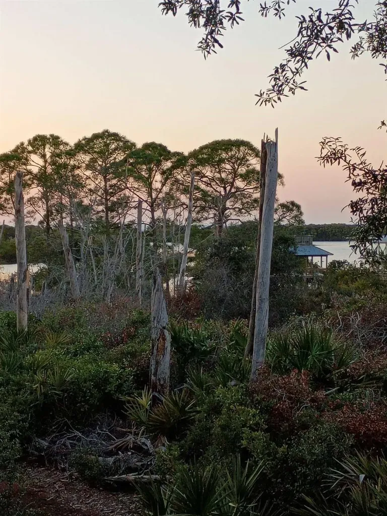 16791 Sandra Street Cedar Key FL 32625