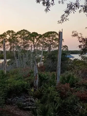 16791 Sandra Street Cedar Key FL 32625