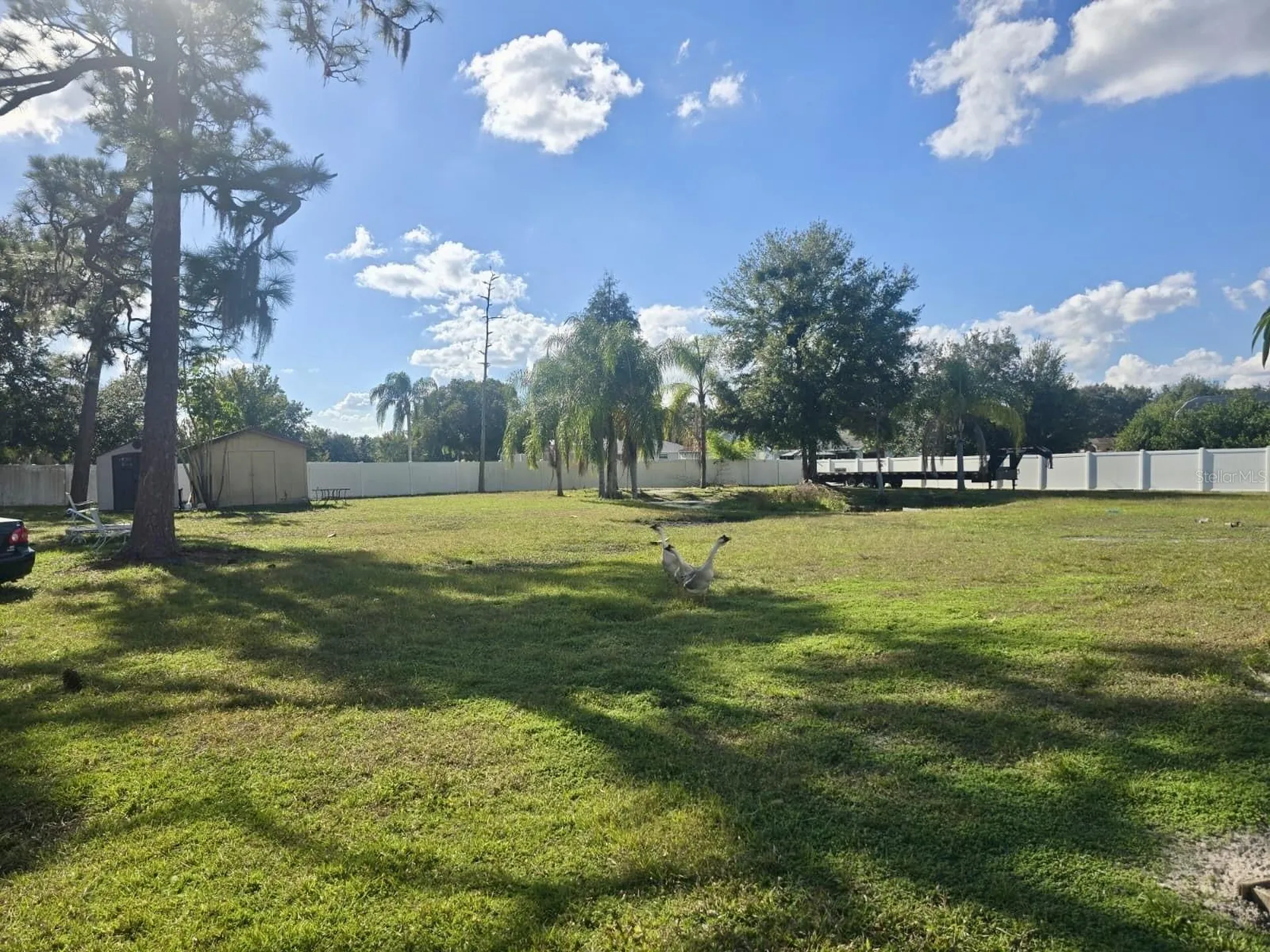 2500 Pine Needle Trail Kissimmee FL 34746