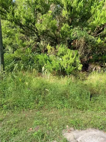 Winona Drive Geneva FL 32732