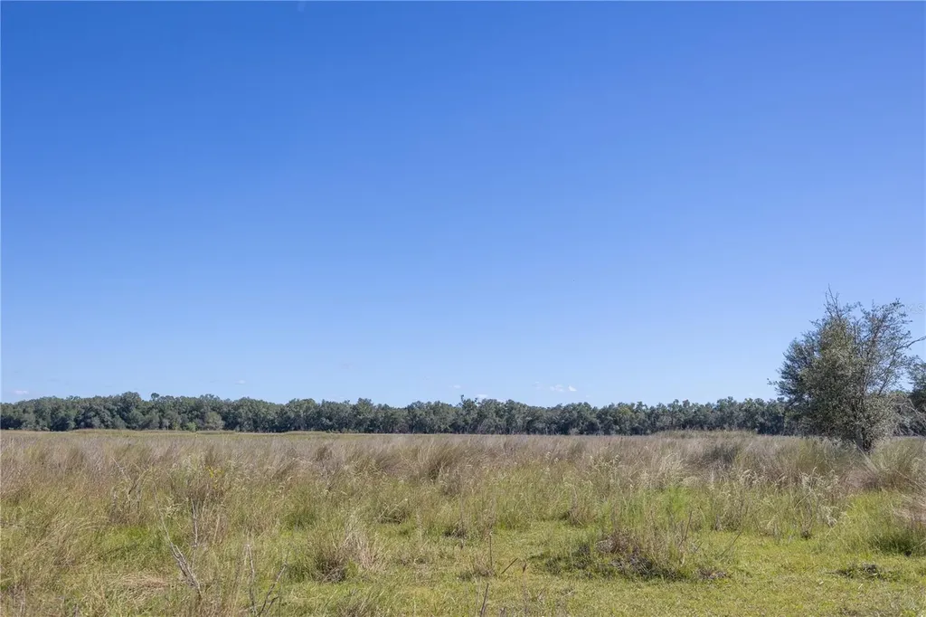 Tbd Cr 673 Webster FL 33597