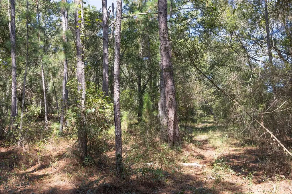 Tbd Cr 673 Webster FL 33597