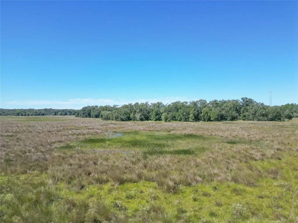 Tbd Cr 673 Webster FL 33597