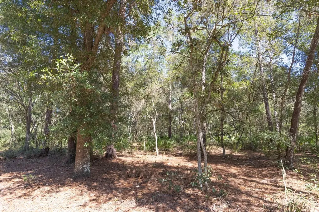 Tbd Cr 673 Webster FL 33597