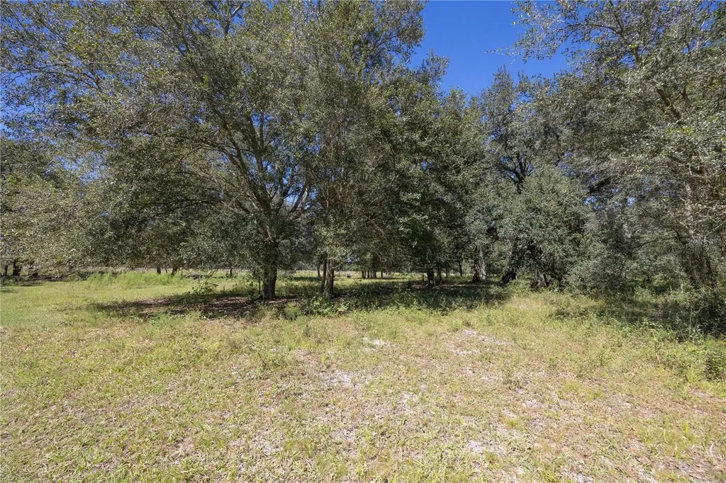 Tbd Cr 673 Webster FL 33597