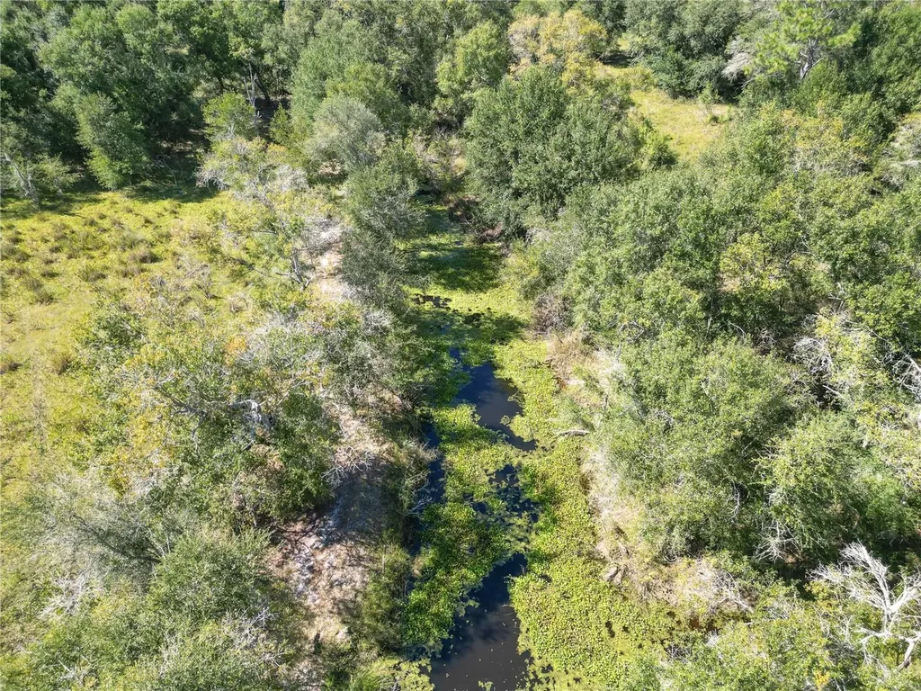 Tbd Cr 673 Webster FL 33597