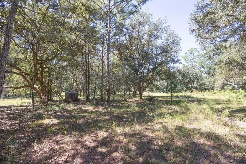 Tbd Cr 673 Webster FL 33597