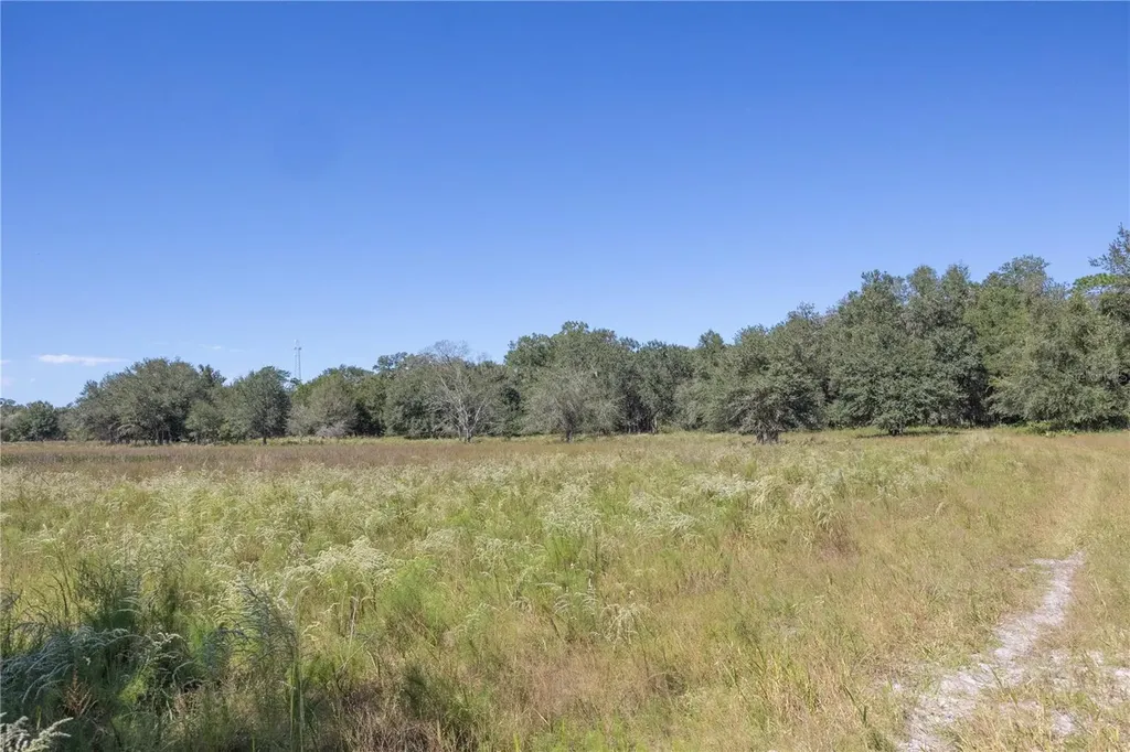 Tbd Cr 673 Webster FL 33597