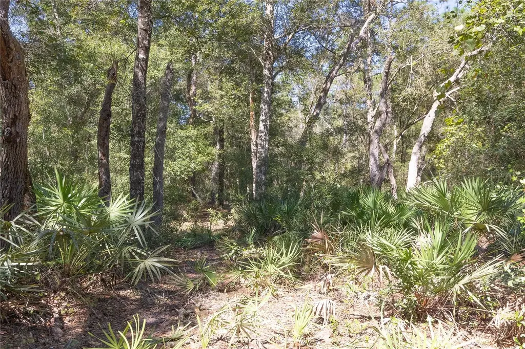 Tbd Cr 673 Webster FL 33597