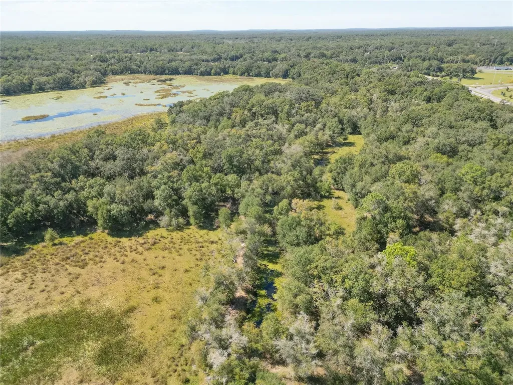 Tbd Cr 673 Webster FL 33597