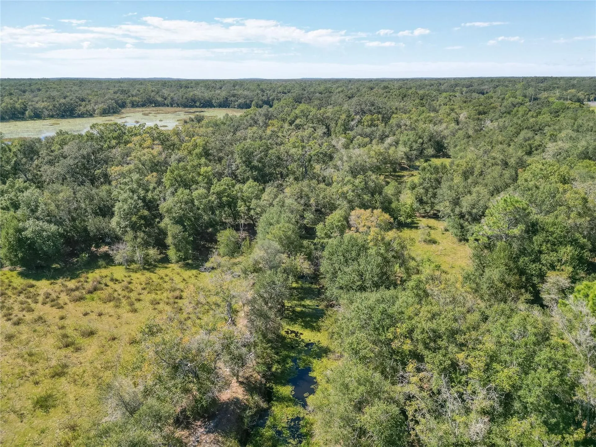 Tbd Cr 673 Webster FL 33597