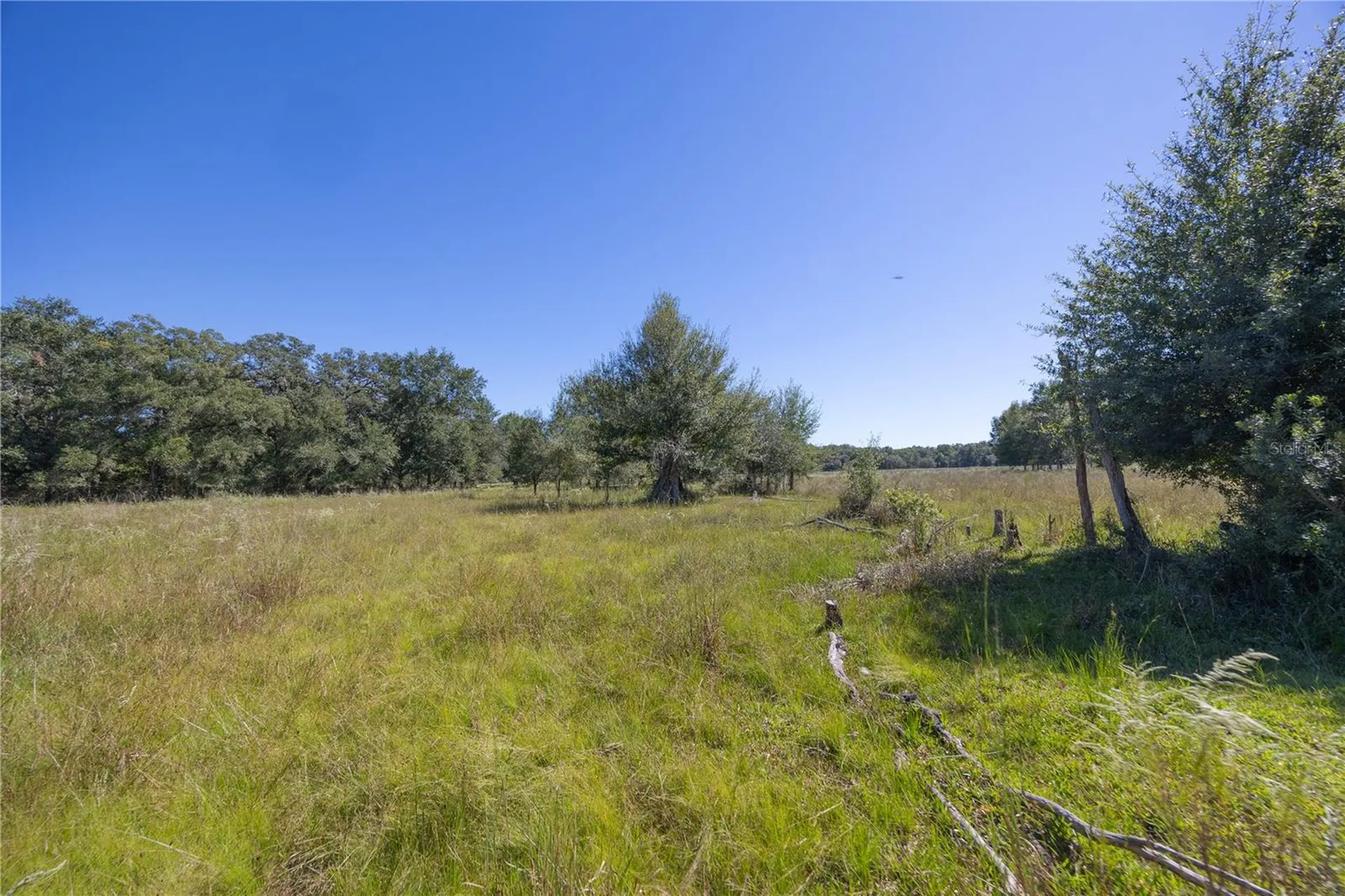Tbd Cr 673 Webster FL 33597