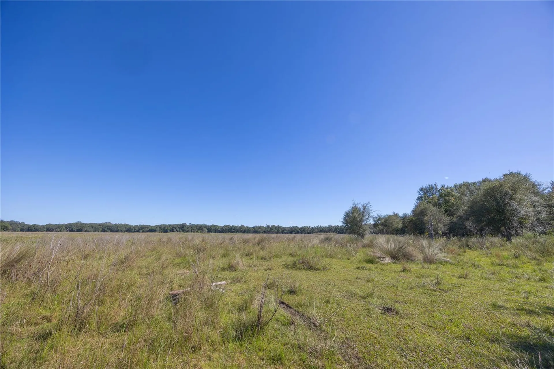 Tbd Cr 673 Webster FL 33597