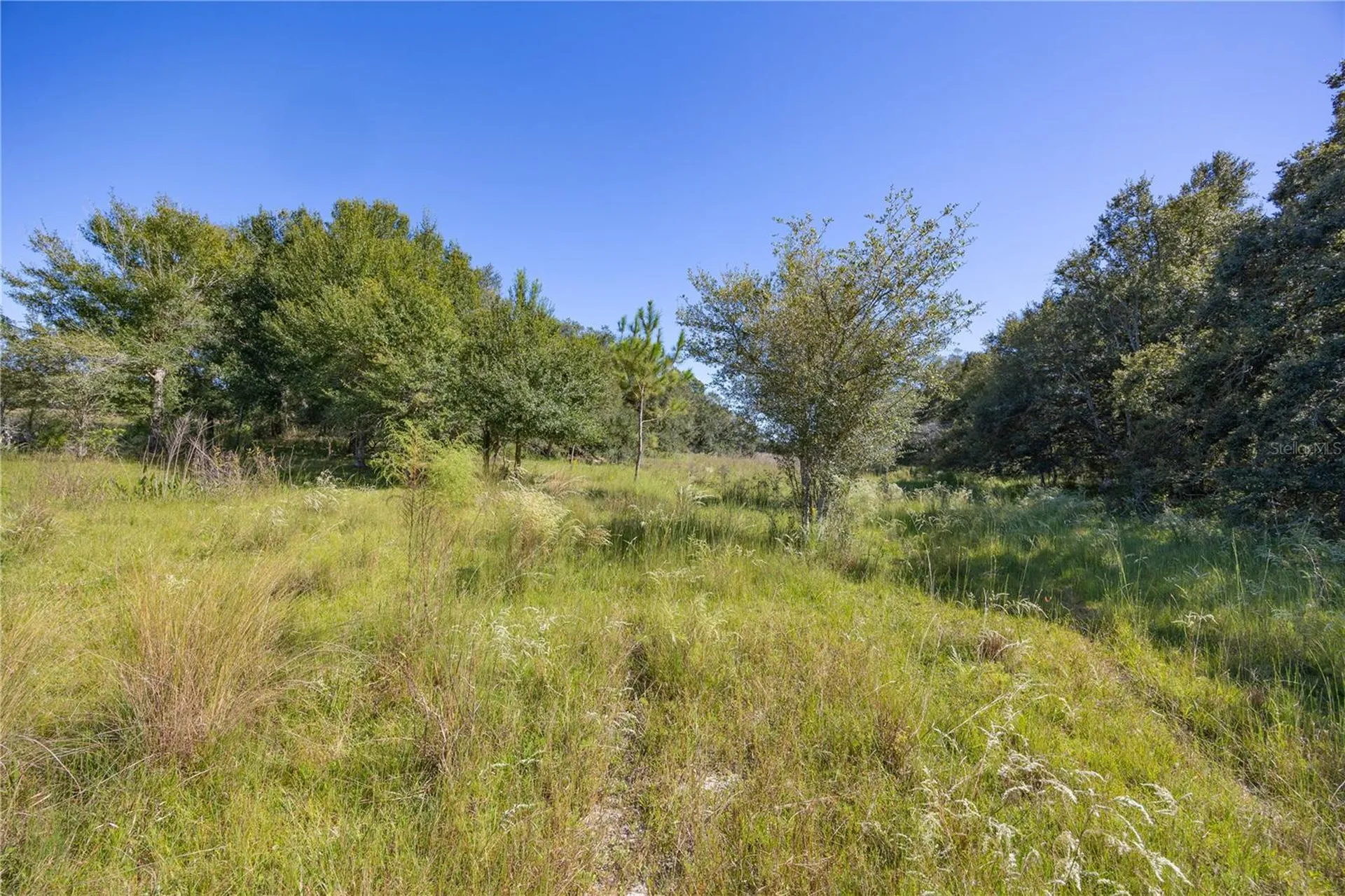 Tbd Cr 673 Webster FL 33597