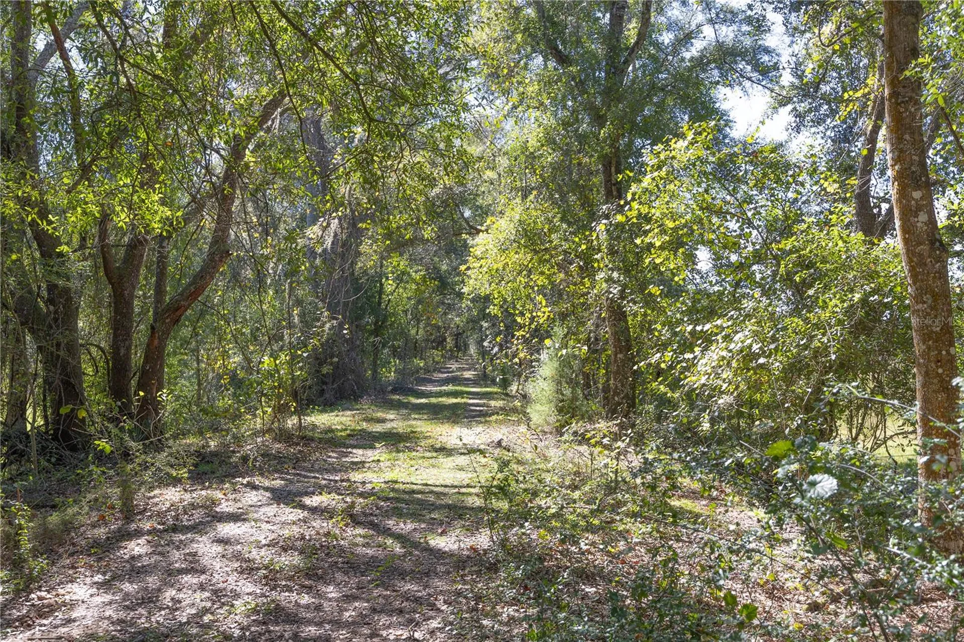 Tbd Cr 673 Webster FL 33597
