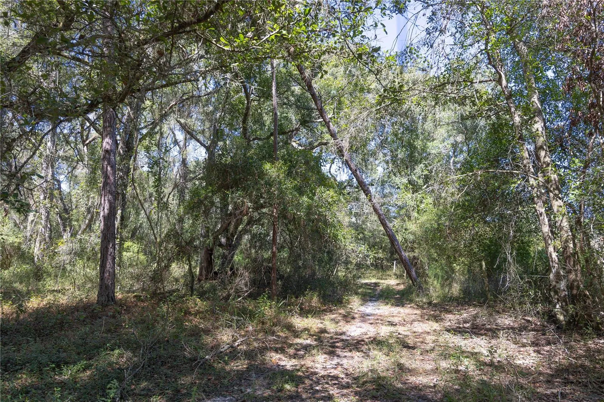 Tbd Cr 673 Webster FL 33597