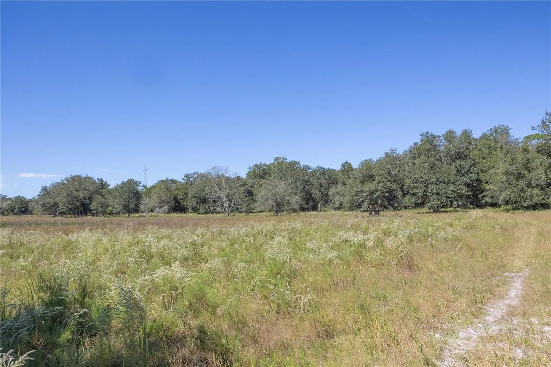 Tbd Cr 673 Webster FL 33597