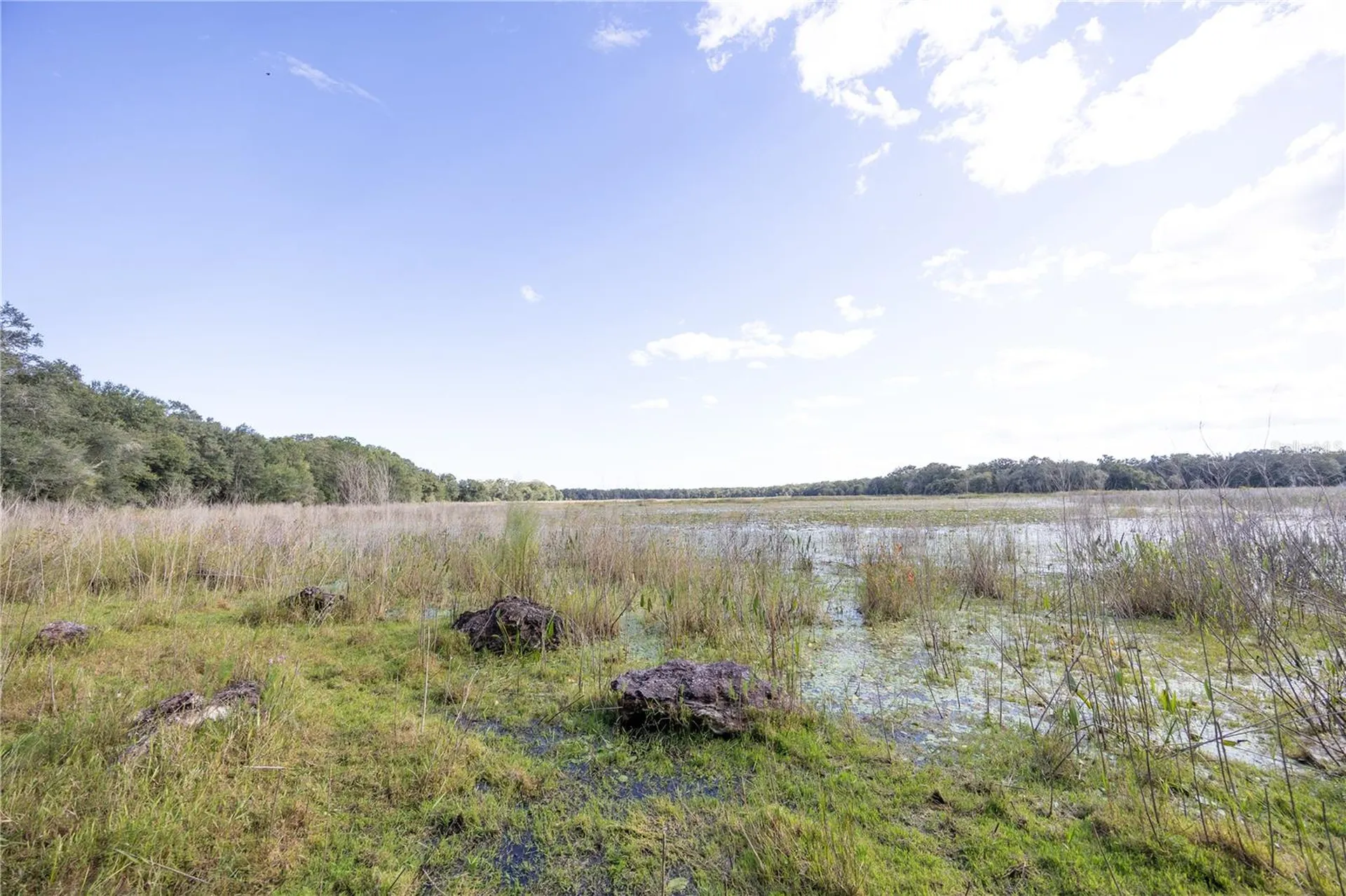 Tbd Cr 673 Webster FL 33597