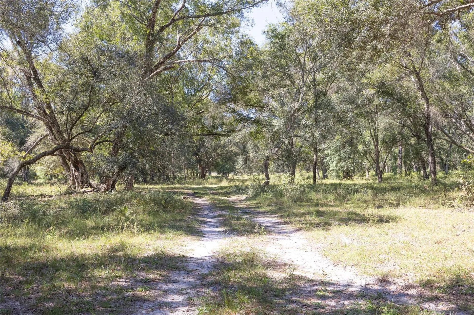 Tbd Cr 673 Webster FL 33597