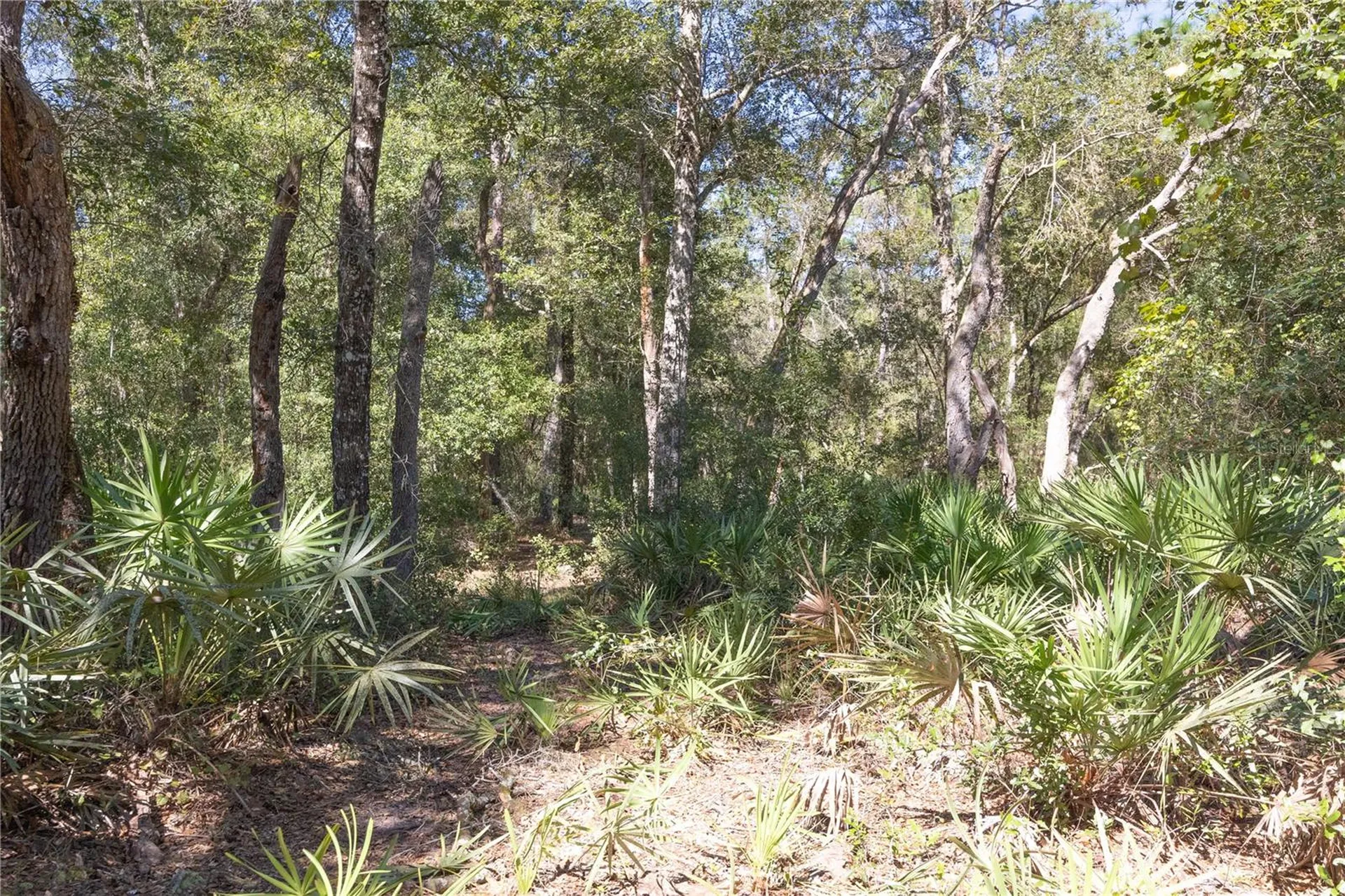 Tbd Cr 673 Webster FL 33597