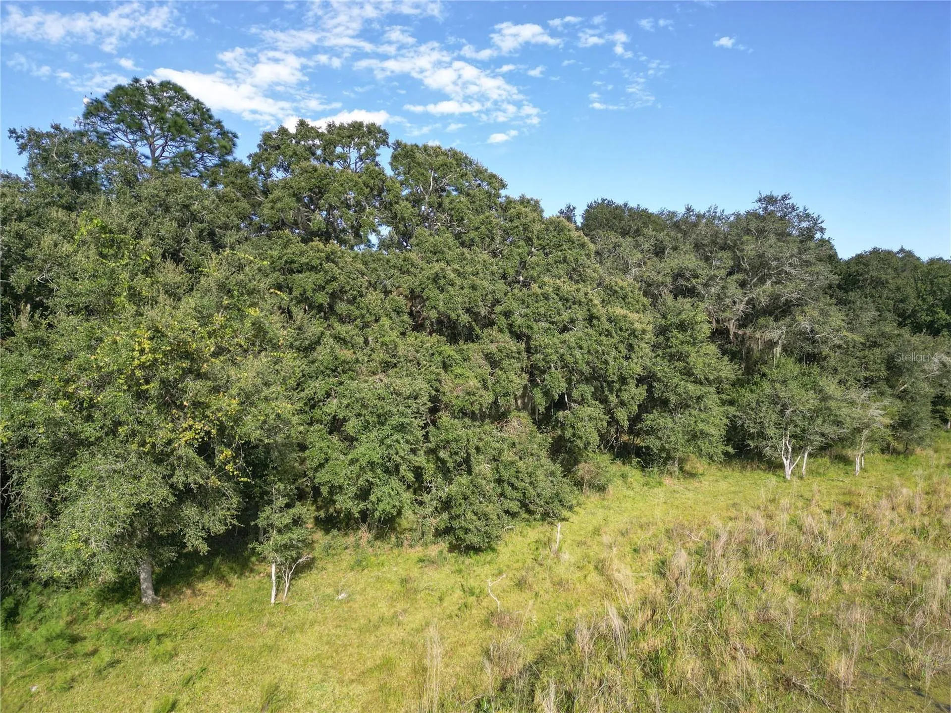 Tbd Cr 673 Webster FL 33597