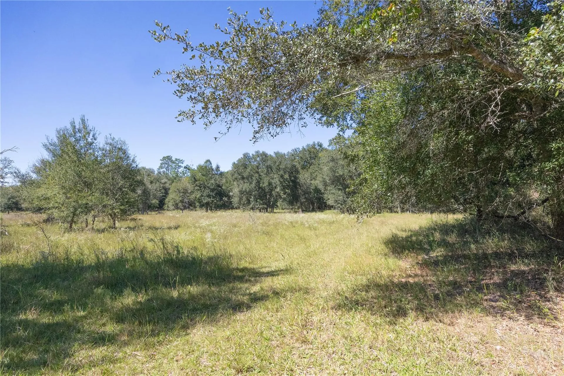 Tbd Cr 673 Webster FL 33597