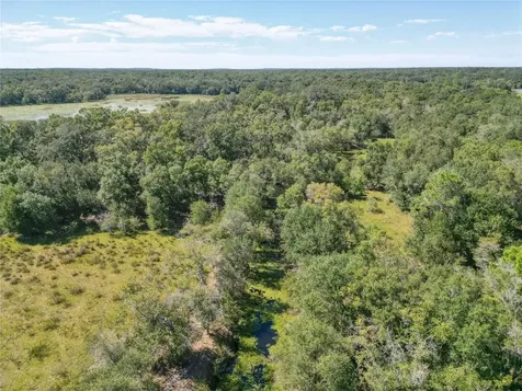 Tbd Cr 673 Webster FL 33597