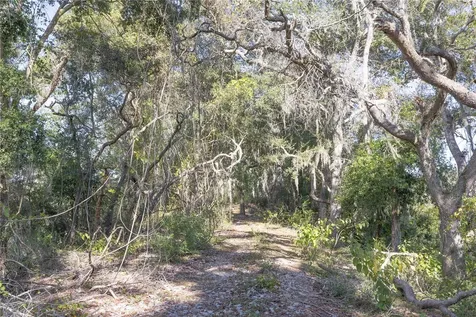 Tbd Cr 673 Webster FL 33597