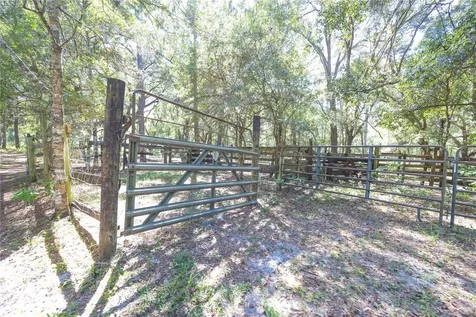 Tbd Cr 673 Webster FL 33597