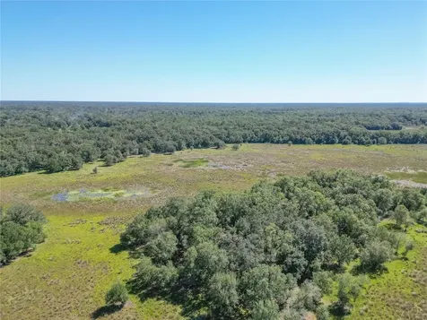 Tbd Cr 673 Webster FL 33597