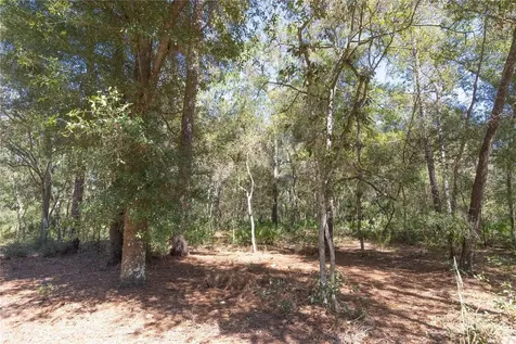 Tbd Cr 673 Webster FL 33597