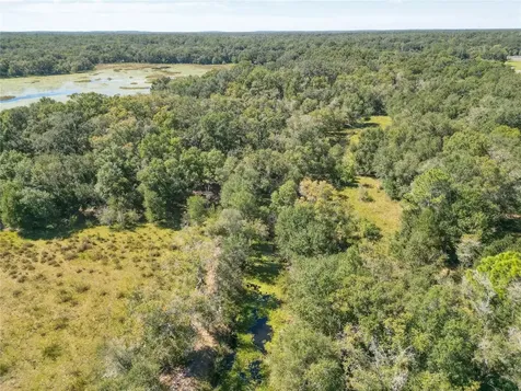 Tbd Cr 673 Webster FL 33597