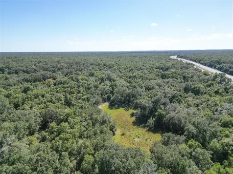 Tbd Cr 673 Webster FL 33597