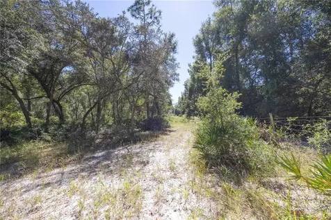 Tbd Cr 673 Webster FL 33597