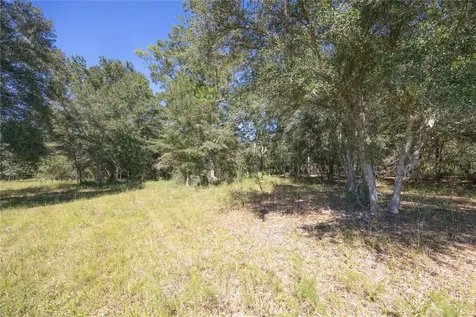 Tbd Cr 673 Webster FL 33597