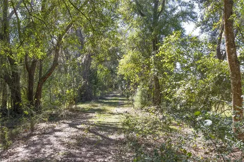 Tbd Cr 673 Webster FL 33597