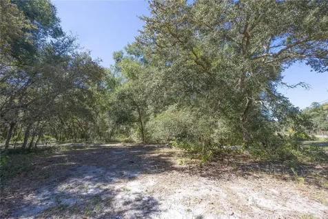 Tbd Cr 673 Webster FL 33597