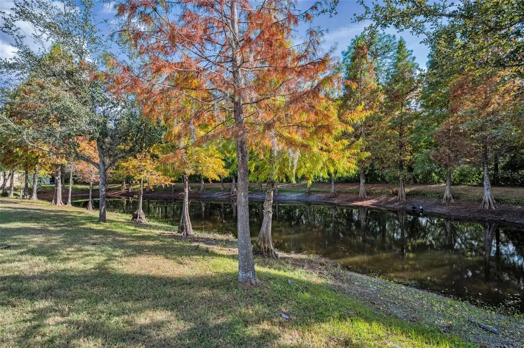 6942 Rocky Canyon Way Tampa FL 33625