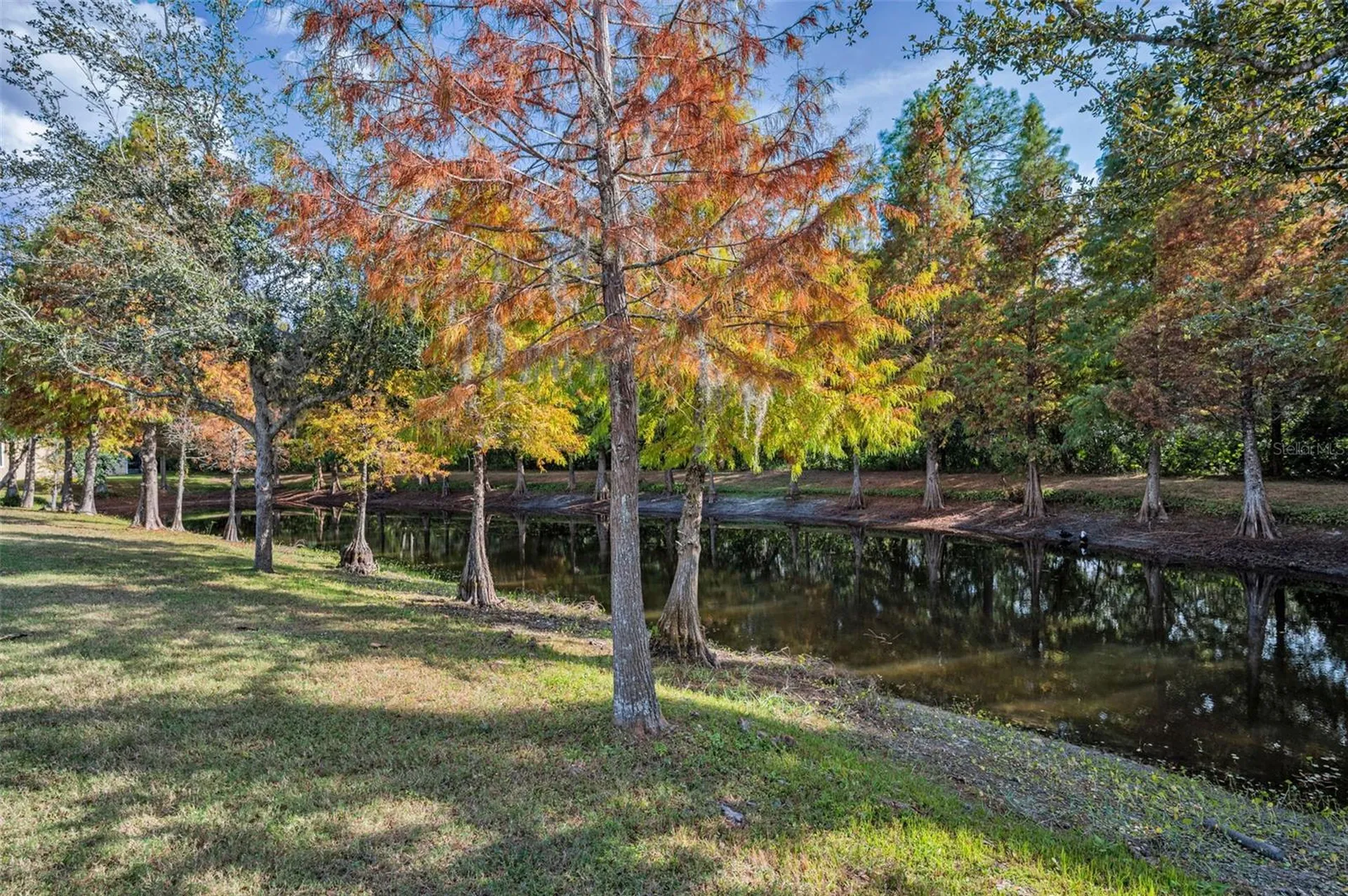 6942 Rocky Canyon Way Tampa FL 33625